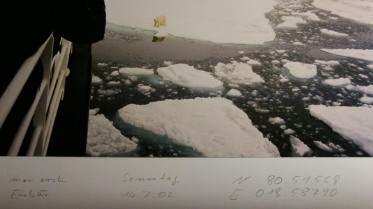 Oberhalb von Spitzbergen Eisbären in freier Wildbahn gesehen. 80.5 Nord.