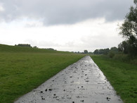 der Deichweg