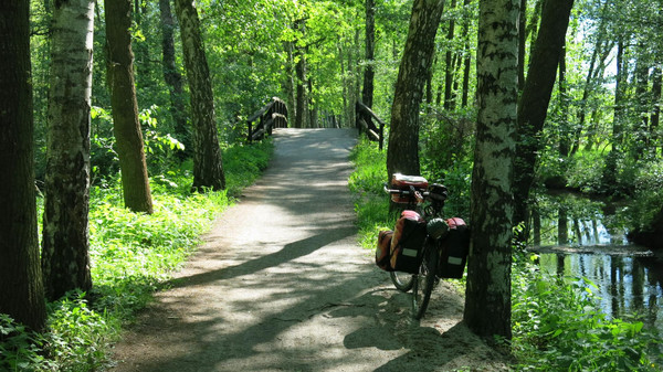 der Spreewald