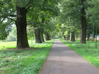 Allee am Schloß Corvey