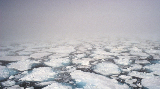 Oberhalb von Spitzbergen im Eis.