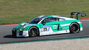 #29 van der Linde R8 LMS