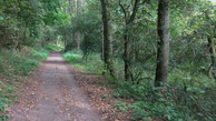 Treidelweg