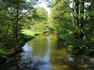 Link in den Spreewald