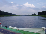 Elbe