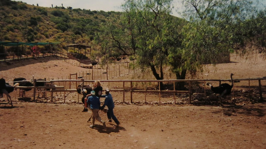 Start der Abenteuerserie in Südafrika mit Ritt auf einem Strauß.