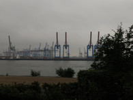 trübe Elbe